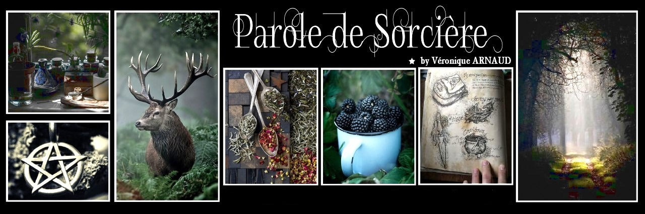 L’univers de Parole de Sorcière