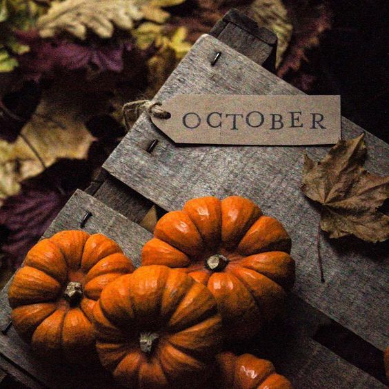 8244c9b9ba85763071b43087b2e351b7