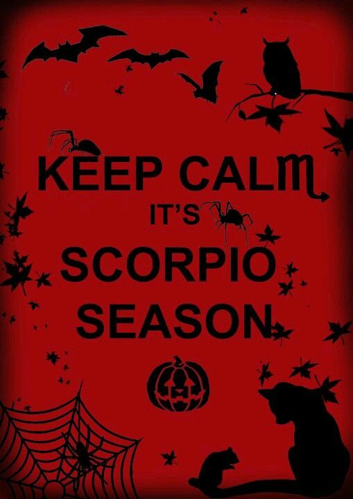 b6a2ff01ea5d5fb17f8d53a7d7b79ba0